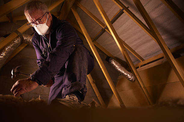 Insulation Repair Services in Magnolia, NJ